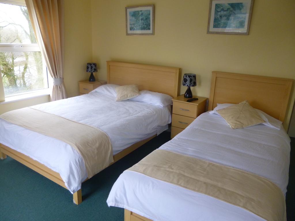Walsh'S Bridge Inn Newport  Chambre photo
